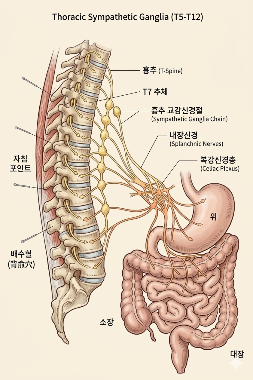 교감신경 침치료